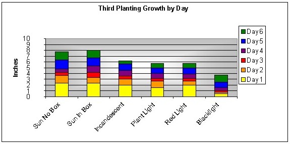 How does light affect plant growth? | reference.com